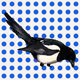 MAGPIE #1714