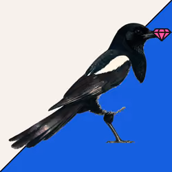 MAGPIE #20