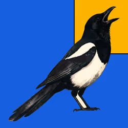 MAGPIE #313
