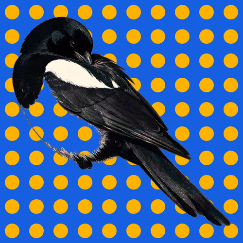 MAGPIE #1505