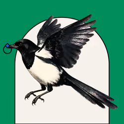 MAGPIE #115