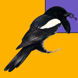 MAGPIE #1667