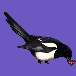 MAGPIE #1374