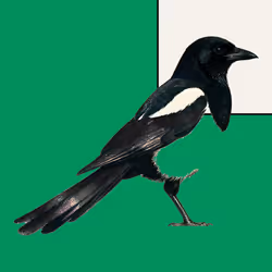 MAGPIE #1197