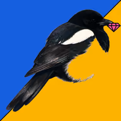 MAGPIE #1001