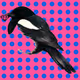 MAGPIE #75