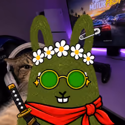 NFT #BunnyHood3888