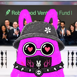 NFT #BunnyHood2504