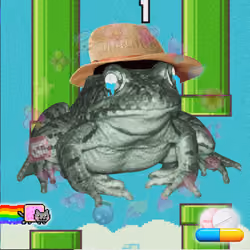Frong #2562