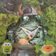 Frong #1541