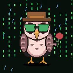 Wrong Bird #2810