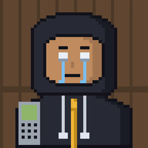 Rug Dev #173