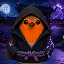 Sasuke Robert