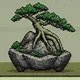 Robin Forest #2829