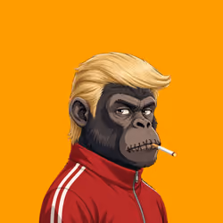 Primal Apes #434