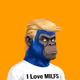 2955