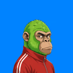 Primal Apes #2052