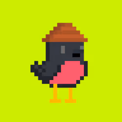 BirdHood #1071