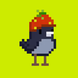 BirdHood #2191
