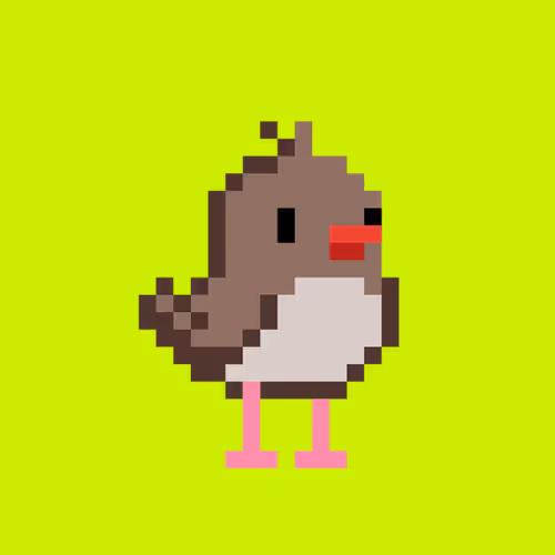 BirdHood #2798