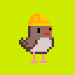 BirdHood #5254