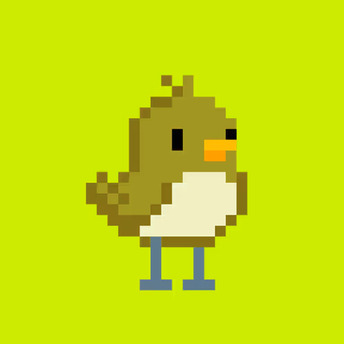 BirdHood #464