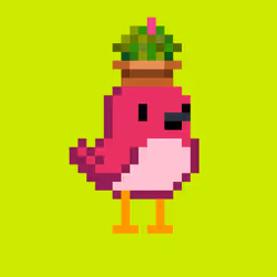 BirdHood #2405
