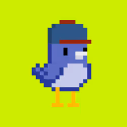BirdHood #478