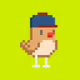 BirdHood #245