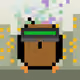 Squawkers #2414