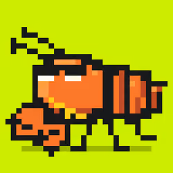 Crayfish #919