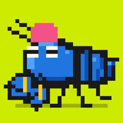Crayfish #647