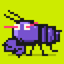 Crayfish #2650