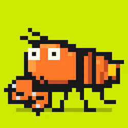 Crayfish #794