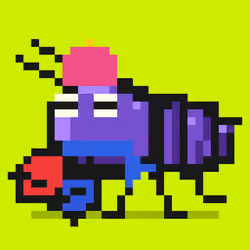 Crayfish #2590