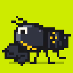 Crayfish #3370