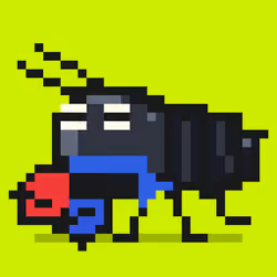 Crayfish #722