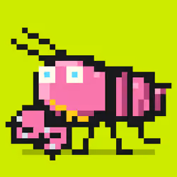 Crayfish #3502