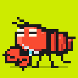 Crayfish #3368