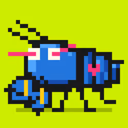 Crayfish #2517