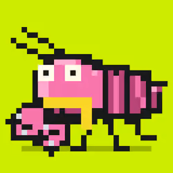 Crayfish #3578