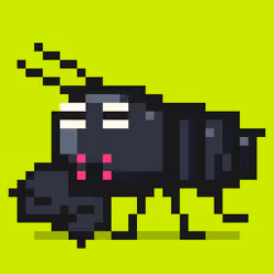 Crayfish #3394