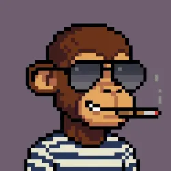 Street Monkeys #156