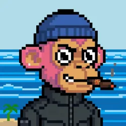 Street Monkeys #494