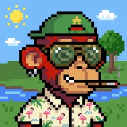 Street Monkeys #724