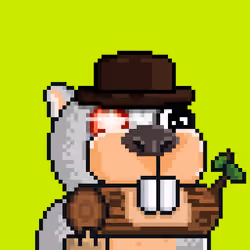 Robin Bandits #1417