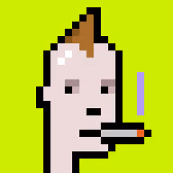 Punk #8356