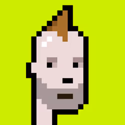 Punk #6554