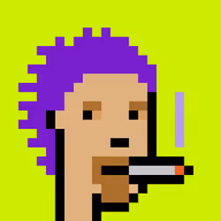 Punk #7800