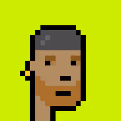 Punk #9568